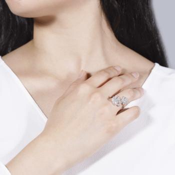 Preview: Paw Pfoten Ring